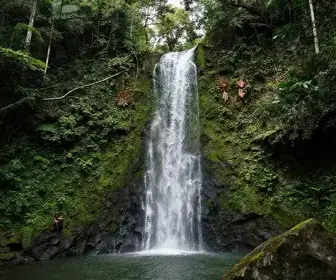 As 7 Melhores Cachoeiras em Joinville para Apreciar a Natureza