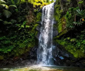 Cachoeira do Piraí: Um Refúgio Natural em Joinville