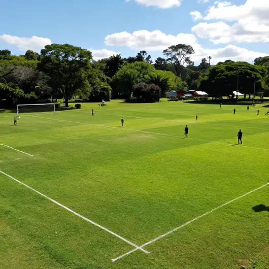 Campo de Futebol Ouro Verde: O Espaço Ideal para Praticar Esportes