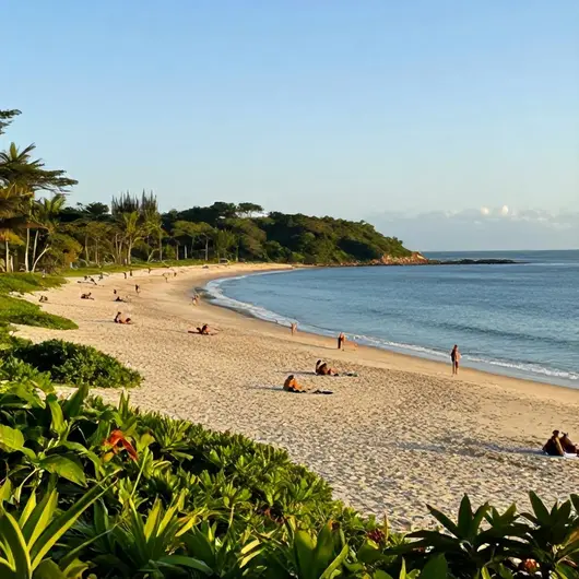 Descubra a Praia do Vigorelli Descubra a Praia do Vigorelli