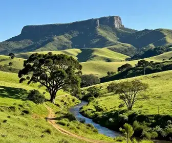 Descubra Campo Alegre: Um Refúgio Natural nos Arredores de Joinville