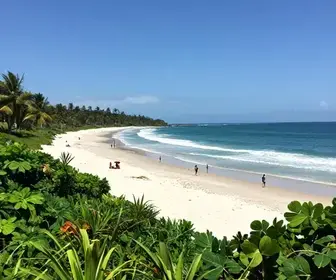 Descubra Itapoá: A Praia Perfeita Próxima a Joinville Descubra Itapoá: A Praia Perfeita Próxima a Joinville