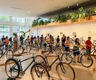 Descubra o Museu da Bicicleta em Joinville: Um Ode à Mobilidade Sustentável Descubra o Museu da Bicicleta em Joinville: Um Ode à Mobilidade Sustentável