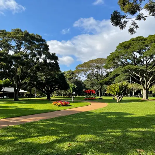 Descubra o Parque Caieira
