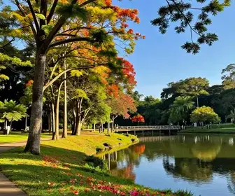 Descubra o Parque Hemerocallis: Um Oásis Natural em Joinville