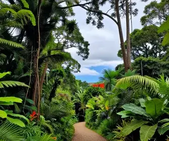 Descubra o Rio Cubatão: Belezas Naturais e Trilhas em Joinville