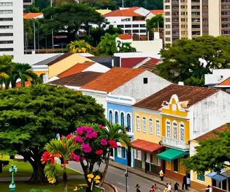 Explore Joinville: Roteiro Prático de 1 Dia
