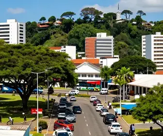 Guia Completo: 29 Locadoras e Transportes em Joinville