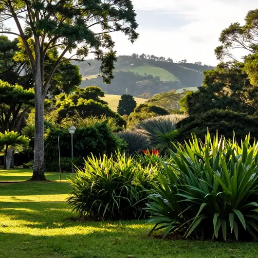 Parque Municipal Morro do Finder: Um Refúgio Natural em Joinville